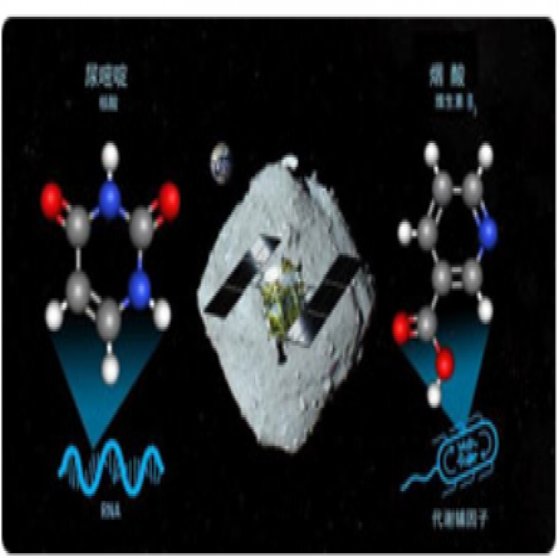 “龍宮”小行星樣本中發(fā)現(xiàn)構(gòu)成RNA的堿基和維生素B3