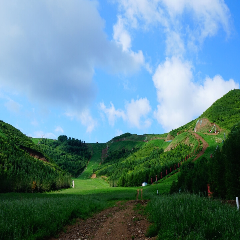 崇禮區(qū)推動(dòng)全域雪道夏季補(bǔ)植復(fù)綠270畝